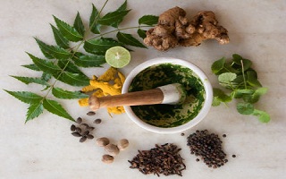 Free Online Ayurvedic Consultation