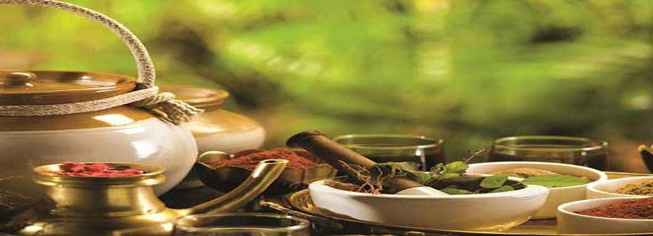 Ayurveda Treatment