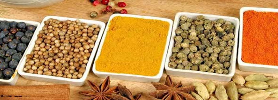 Ayurvedic Herbs Treatment